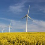 Инвесторы начинают подавать заявки на участие в аукционе по строительству ветропарков в Молдове