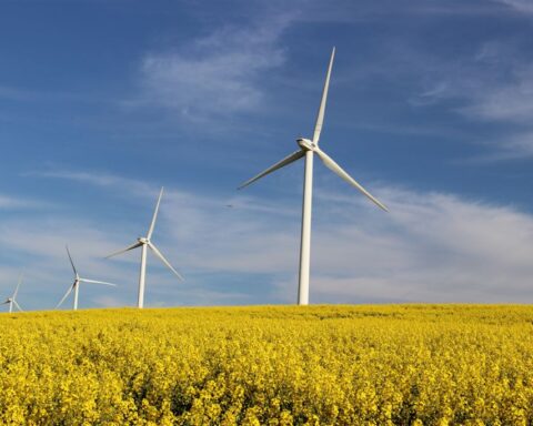 Инвесторы начинают подавать заявки на участие в аукционе по строительству ветропарков в Молдове