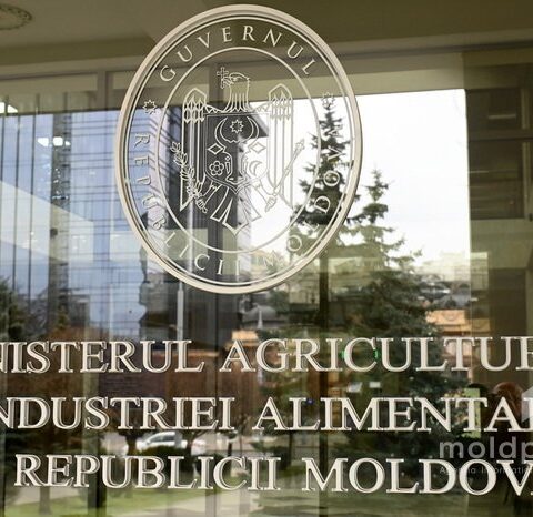 Министерство сельского хозяйства: запрета на экспорт вин в Украину нет