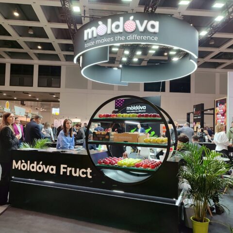 Молдавские производители участвуют в выставке Fruit Logistica 2026 в Берлине