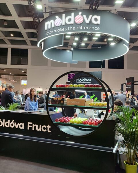 Молдавские производители участвуют в выставке Fruit Logistica 2026 в Берлине