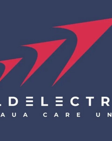 Moldelectrica будет реорганизована в акционерное общество до апреля 2027 года