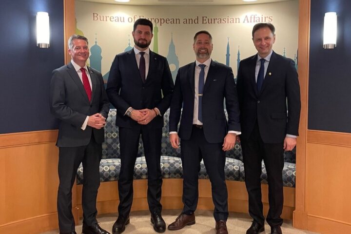 Обсужден проект воздушной линии электропередачи Страшены–Гутинаш и модернизация энергетической системы