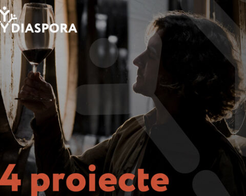 Программа Buy Diaspora поможет молдавским компаниям продвигать продукцию в Европе и Канаде