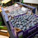 Швейцария открывает рынок для молдавских фруктов: сливы, абрикосы и черешня успешно протестированы в розничной торговле