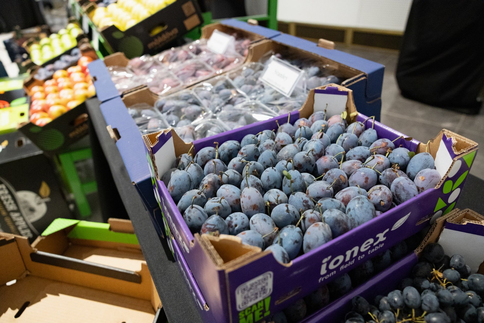 Швейцария открывает рынок для молдавских фруктов: сливы, абрикосы и черешня успешно протестированы в розничной торговле