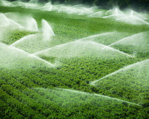 Фермеры из 14 районов Молдовы получат гранты на орошение