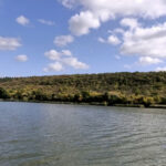 Министерство экологии Молдовы запускает меры по очистке Днестра от нефтепродуктов