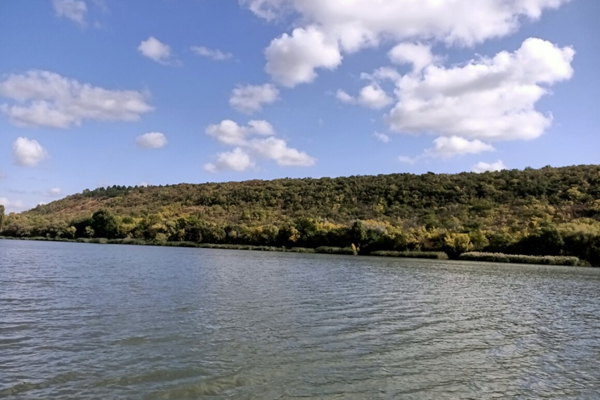 Министерство экологии Молдовы запускает меры по очистке Днестра от нефтепродуктов