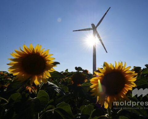 Министерство сельского хозяйства запускает Пятый конкурс проекта AGGRI с грантами для фермеров