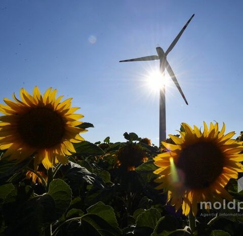 Министерство сельского хозяйства запускает Пятый конкурс проекта AGGRI с грантами для фермеров