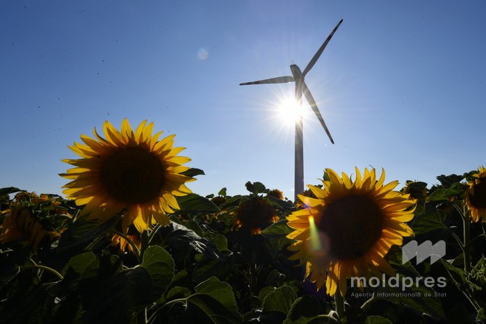 Министерство сельского хозяйства запускает Пятый конкурс проекта AGGRI с грантами для фермеров