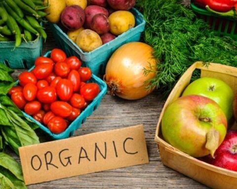 Минсельхоз: растущий спрос на экологическую продукцию требует внимания к сертификации