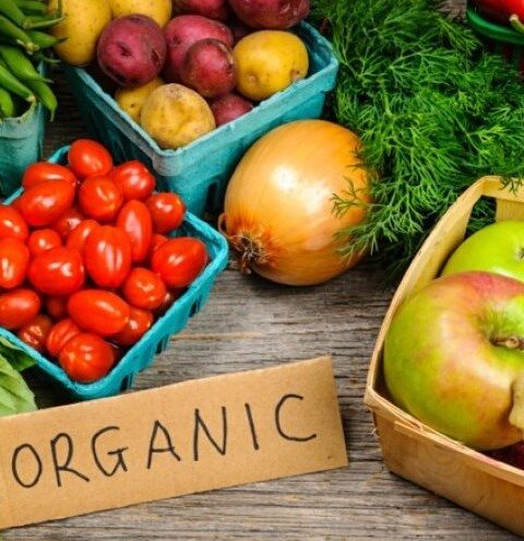 Минсельхоз: растущий спрос на экологическую продукцию требует внимания к сертификации