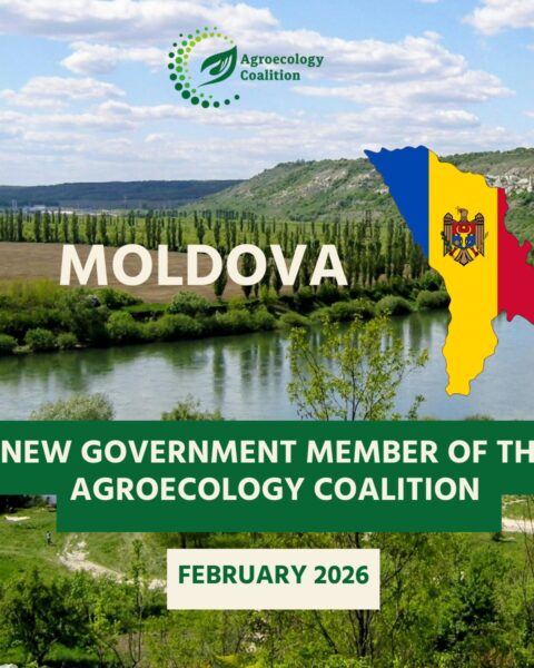 Молдова вступила в Agroecology Coalition для перехода к устойчивому сельскому хозяйству