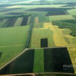 Молодые фермеры и женщины-предпринимательницы получат кредиты до 150 тысяч евро