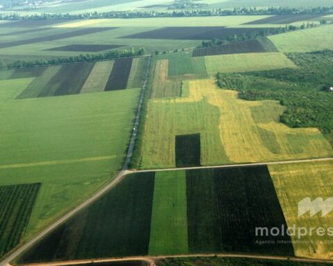 Молодые фермеры и женщины-предпринимательницы получат кредиты до 150 тысяч евро