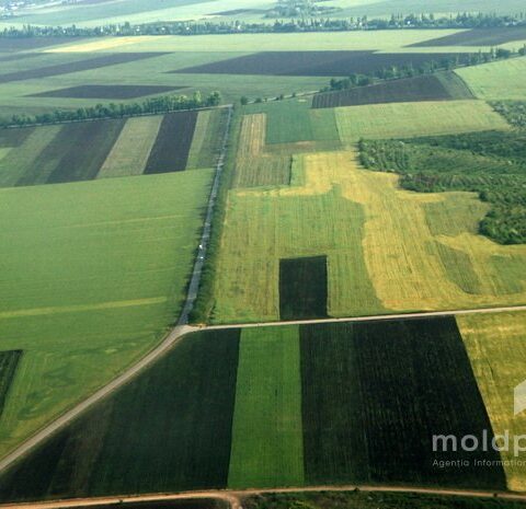 Молодые фермеры и женщины-предпринимательницы получат кредиты до 150 тысяч евро