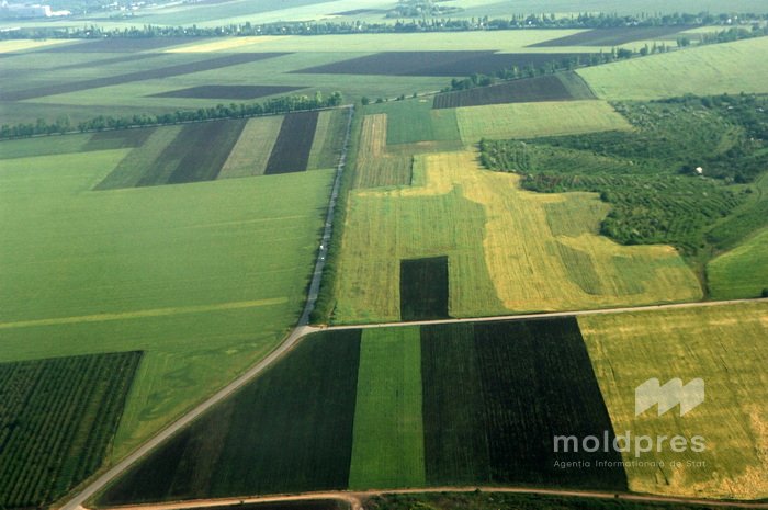 Молодые фермеры и женщины-предпринимательницы получат кредиты до 150 тысяч евро