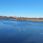 Первичные результаты наблюдений за загрязнением Нистрова