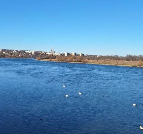 Первичные результаты наблюдений за загрязнением Нистрова