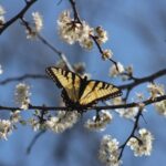 Причины и решения весенней усталости