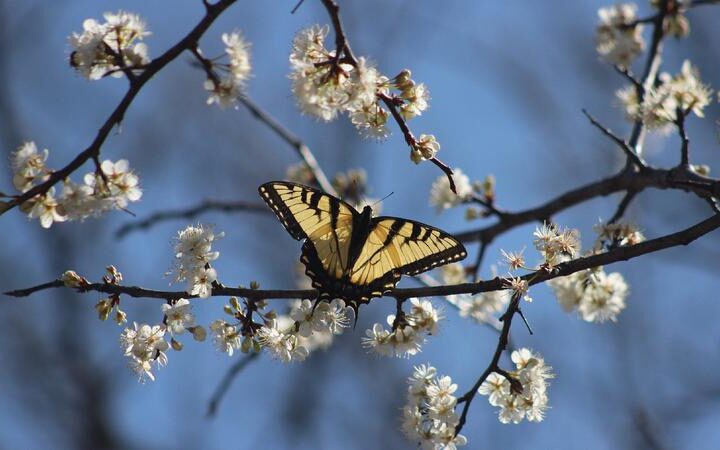 Причины и решения весенней усталости