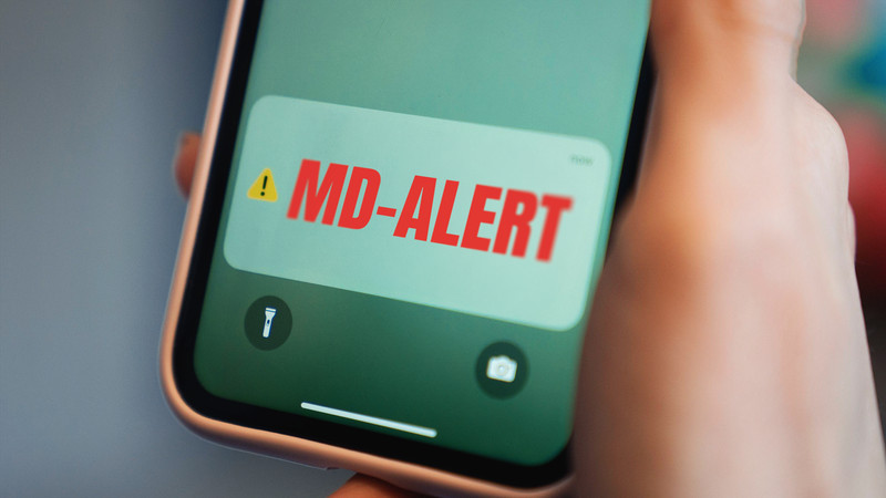 Сколько будет стоить система MD-ALERT в Молдове?