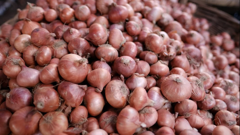 Сотни тонн овощей остаются в хранилищах фермеров в северной части страны