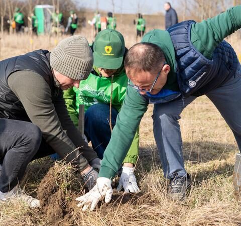 Совместная акция по высадке деревьев прошла в Скулянах, Молдова и Румыния