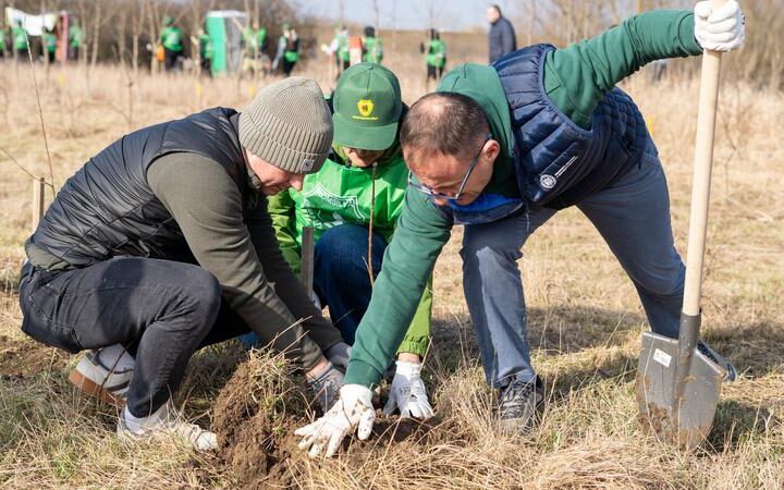 Совместная акция по высадке деревьев прошла в Скулянах, Молдова и Румыния