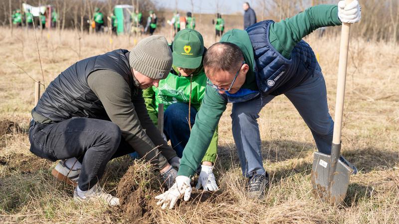 Совместная акция по высадке деревьев прошла в Скулянах, Молдова и Румыния