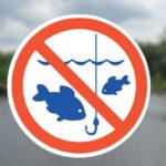 В Молдове установлено ограничение на ловлю рыбы до 1 апреля для защиты здоровья населения