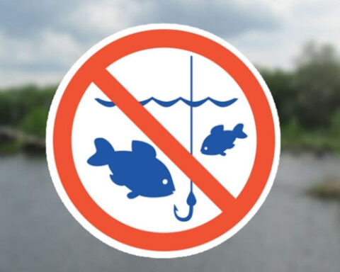 В Молдове установлено ограничение на ловлю рыбы до 1 апреля для защиты здоровья населения