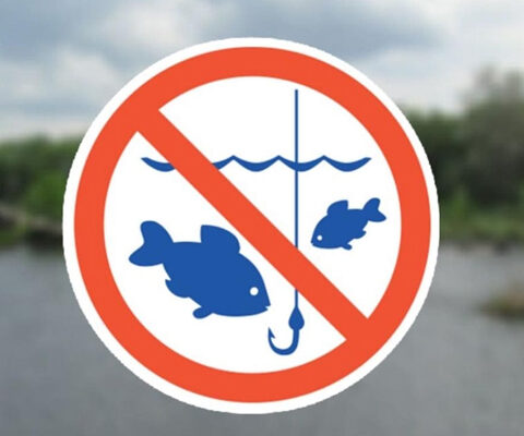 В Молдове установлено ограничение на ловлю рыбы до 1 апреля для защиты здоровья населения