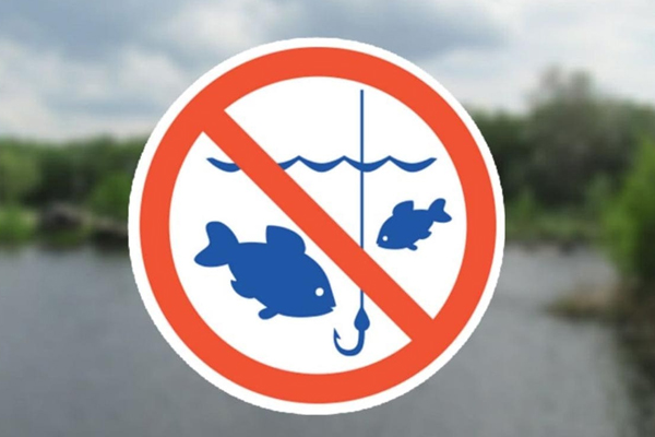 В Молдове установлено ограничение на ловлю рыбы до 1 апреля для защиты здоровья населения