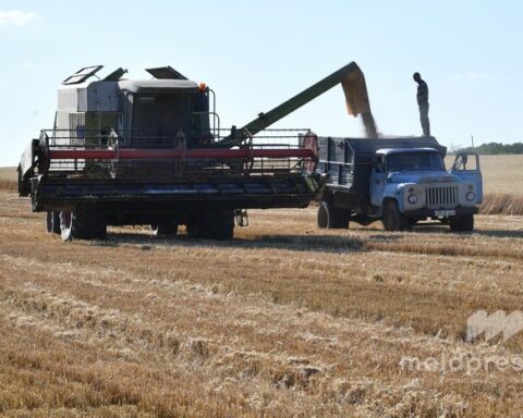 AIPA утвердила свыше 53 миллионов леев выплат фермерам в начале апреля