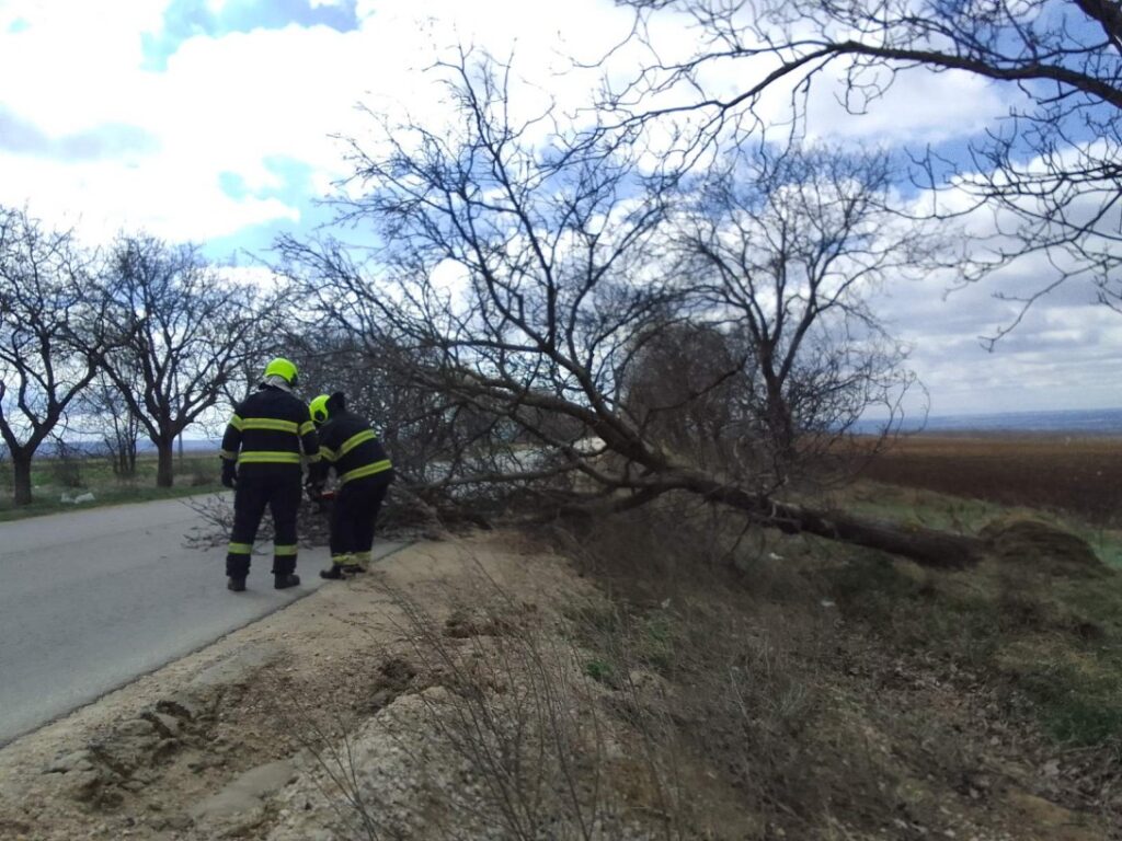 ГИЧС сообщает о 58 вызовах из-за сильного ветра в Молдове