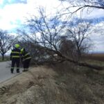 ГИЧС сообщает о 58 вызовах из-за сильного ветра в Молдове