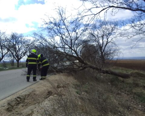 ГИЧС сообщает о 58 вызовах из-за сильного ветра в Молдове
