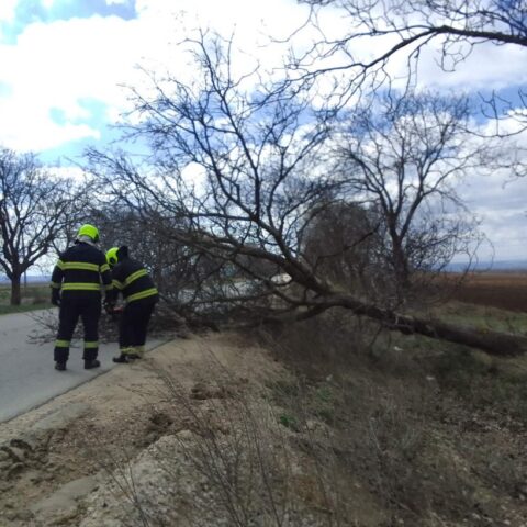ГИЧС сообщает о 58 вызовах из-за сильного ветра в Молдове