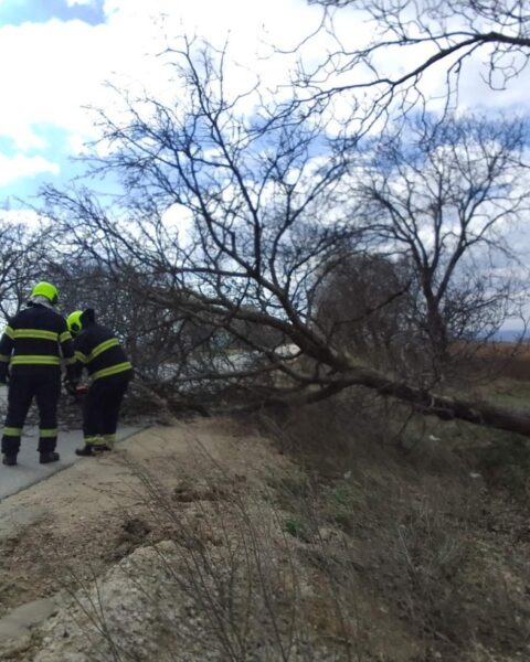 ГИЧС сообщает о 58 вызовах из-за сильного ветра в Молдове