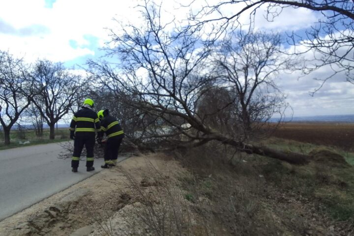 ГИЧС сообщает о 58 вызовах из-за сильного ветра в Молдове