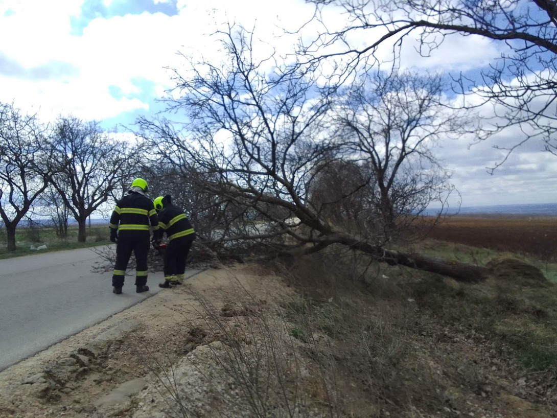 ГИЧС сообщает о 58 вызовах из-за сильного ветра в Молдове