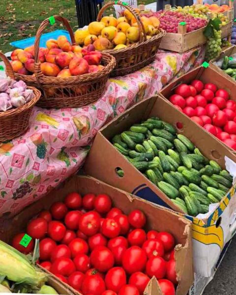 Кишиневская примэрия проводит ярмарки для поддержки местных производителей