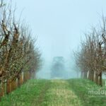 Министерство сельского хозяйства упрощает выплаты для поддержки фермеров в весенний период