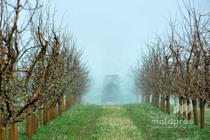 Министерство сельского хозяйства упрощает выплаты для поддержки фермеров в весенний период