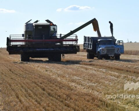 Министерство сельского хозяйства запускает новый финансовый инструмент для поддержки агропроизводителей