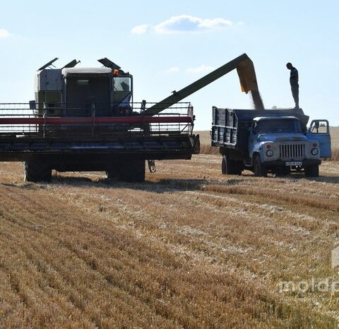 Министерство сельского хозяйства запускает новый финансовый инструмент для поддержки агропроизводителей