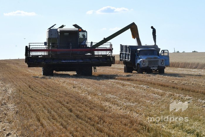Министерство сельского хозяйства запускает новый финансовый инструмент для поддержки агропроизводителей